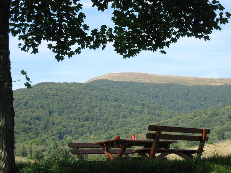 Caloroczne Domki Zacisze Hnatowego Berda W Wetlinie Wetlina Esterno foto