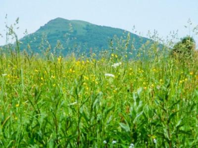 Caloroczne Domki Zacisze Hnatowego Berda W Wetlinie Wetlina Esterno foto
